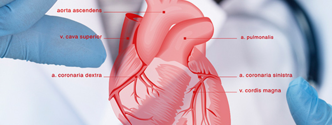 Cardiology And Cardiac Surgery